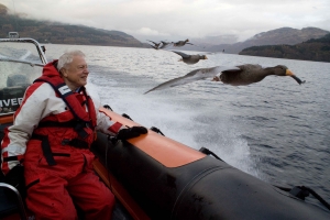 greylag geese & sir david