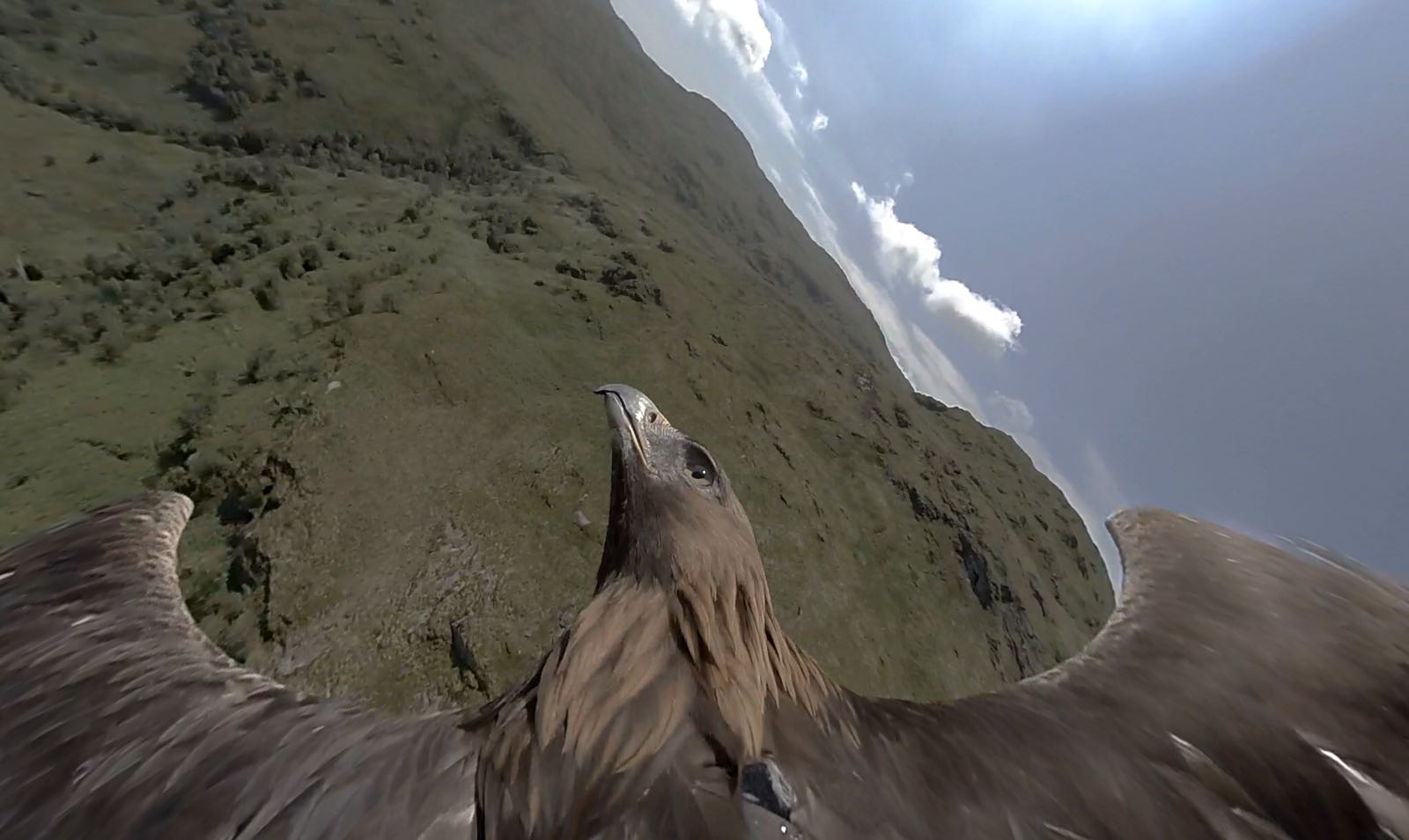 Golden Eagle 360 shoot in Scotland