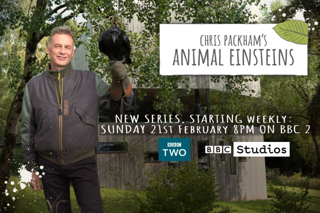 BBC2 – Chris Packhams Animal Einsteins